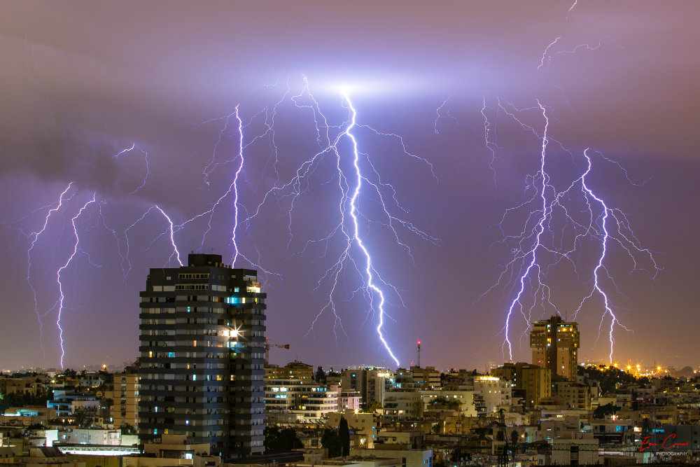 צלם החודש - ארז כרמל