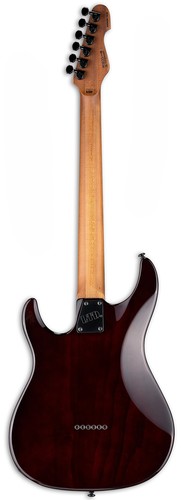 זווית נוספת esp ltd sn-1000ht dark brown sunburst electric guitar
