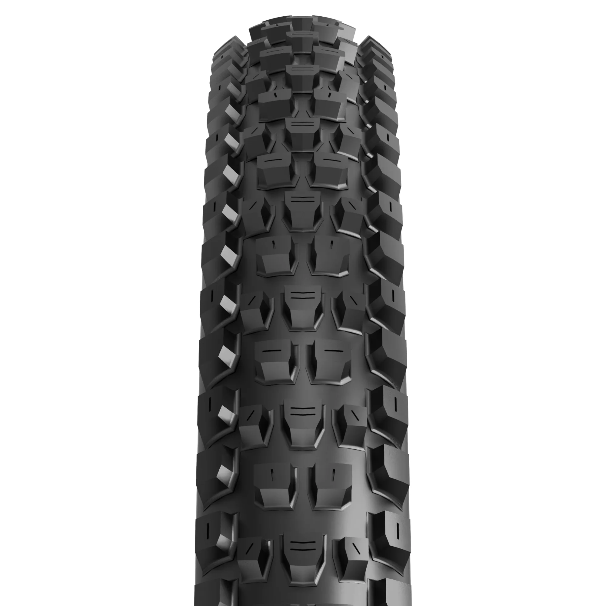 צמיג MAXXIS DISSECTOR II MAXXTERRA/EXO+/TR 29X2.40