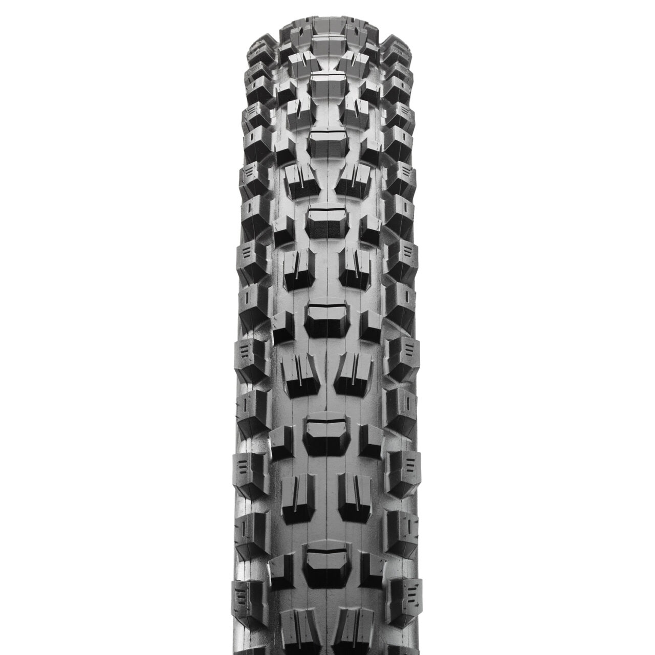 צמיג MAXXIS ASSEGAI 3CG/DD/TR 29X2.60WT