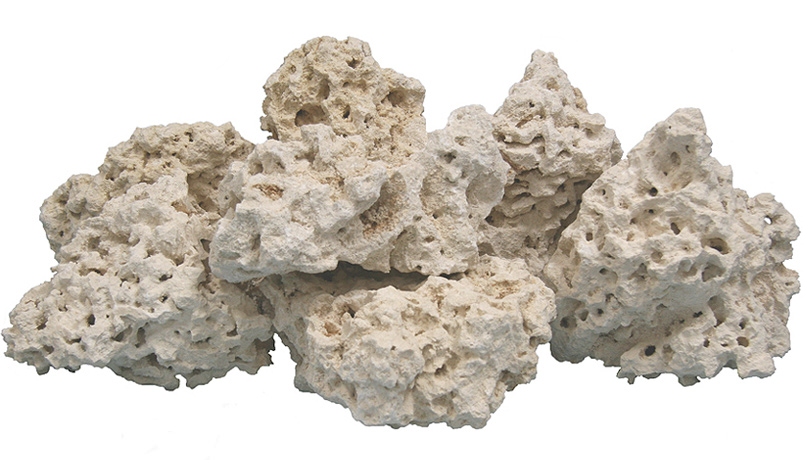 נייצרס רוק סלע טבעי למים מלוחים SALTWATER BASE ROCK