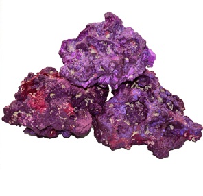נייצרס רוק סלע סגול למים מלוחים PURPLE BASE ROCK