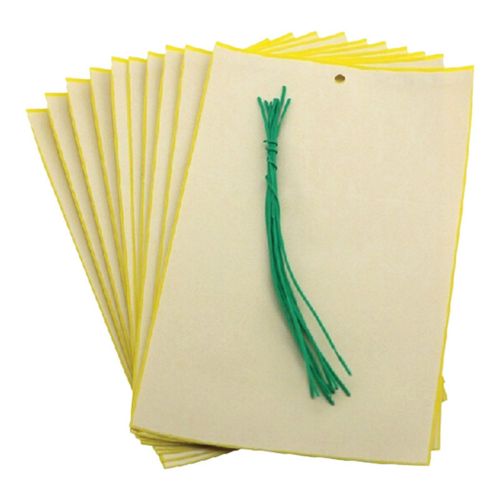 לוחות דבק צהובים ללכידת חרקים GREEN STICKY - 10 יחידות
