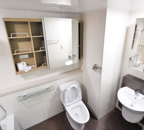 ידית לשירותי נכים