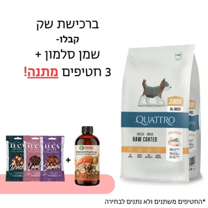 קוואטרו כלב ג