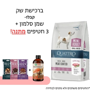 קוואטרו אקסטרה כבש בוגר גזע מיני 7 ק"ג
