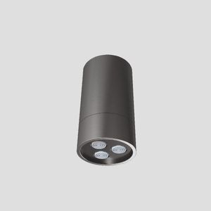ספוט גשם קבוע מהתקרה 8.5Ø SPOT – גרפיט