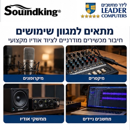 כבל אודיו USB-C ל-2 XLR זכר באורך 2 מטר Soundking BUX001 עם ממיר DAC מובנה