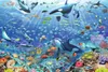 פאזל 3000 חלקים - במעמקי הים