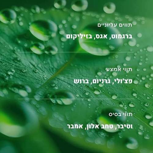 MOODS – פתיתי שעווה להכנת נרות - ירוק