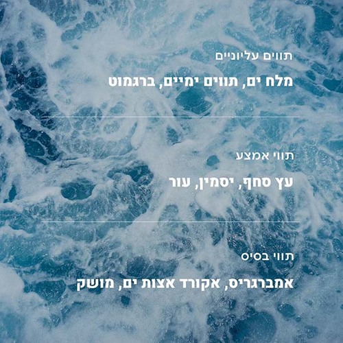 MOODS – פתיתי שעווה להכנת נרות - כחול