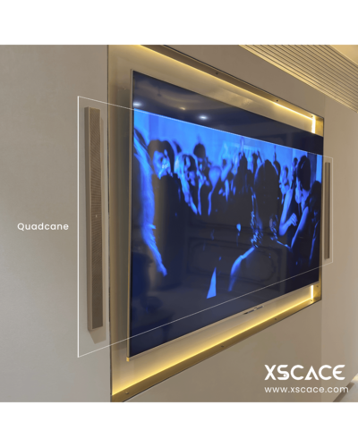 Xscace QuadCane