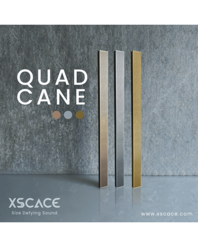 Xscace QuadCane