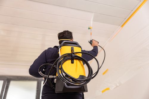 איירלס בוכנתי CONTROL PRO 300 וגנר WAGNER
