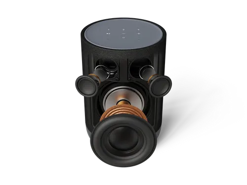 Denon Home 200