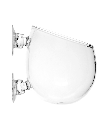 אקווה פרו כוסית שתילה מזכוכית AQUAPRO Glass Plant Pot