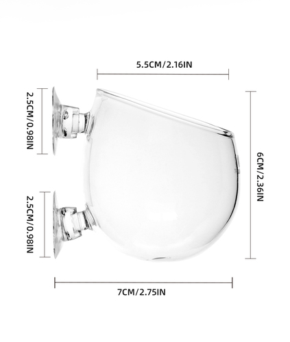 אקווה פרו כוסית שתילה מזכוכית AQUAPRO Glass Plant Pot