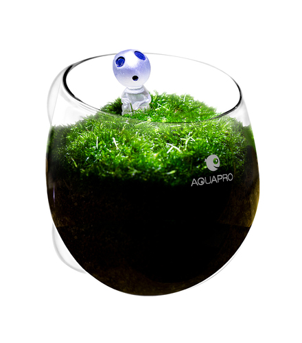 אקווה פרו כוסית שתילה מזכוכית AQUAPRO Glass Plant Pot