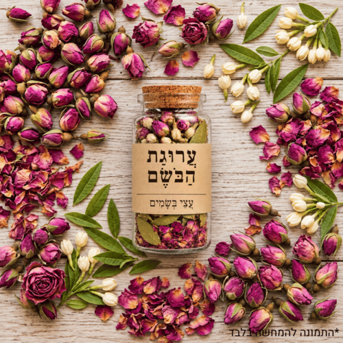 עצי בשמים עם פיפטה במילוי 100% שמן אתרי טהור | ערוגת הבשם