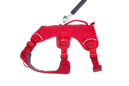 רתמות לכלבים | Web Master Harness RUFFWEAR