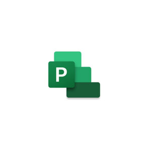 תוכנת Microsoft Project Standard 2024 All Lng Retail Online **ESD** 