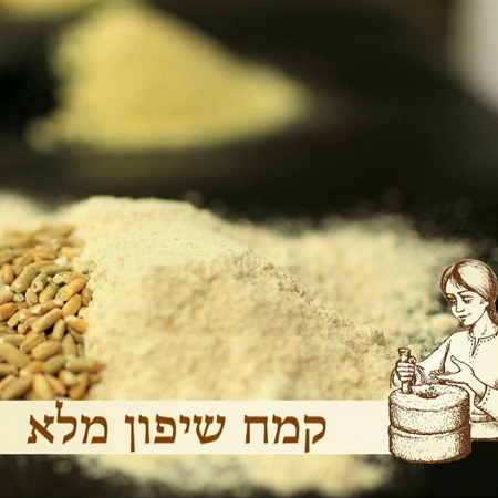 קמח שיפון מלא- 500 גר׳