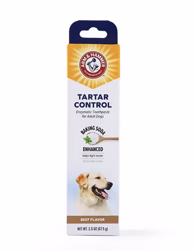 משחת שיניים לכלב - משחת שיניים אנזימטית ARM & HAMMER לשליטה באבנית לכלבים