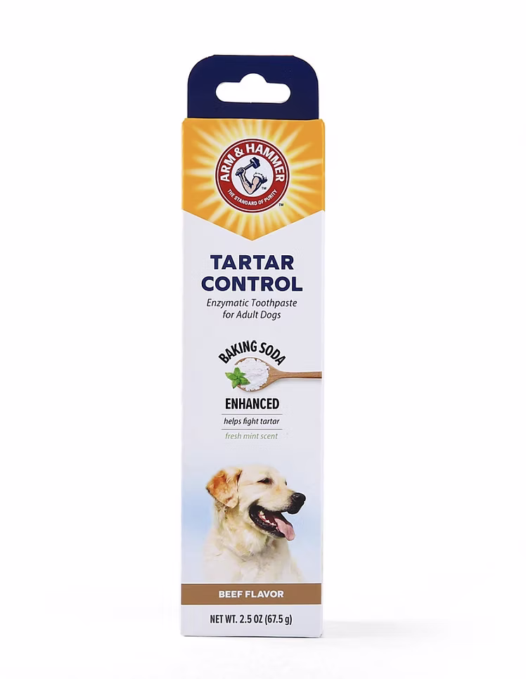 משחת שיניים אנזימטית ARM & HAMMER לשליטה באבנית לכלבים, בטעם בקר ובניחוח מנטה.