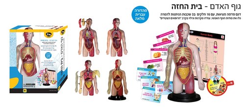 ערכת גוף האדם לילדים IAM