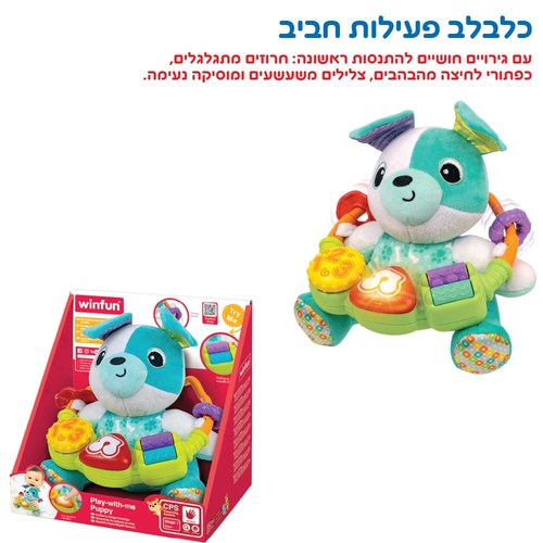 כלב פעילות אורקולי WinFun