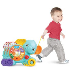 פיל מתגלגל לימודי WinFun
