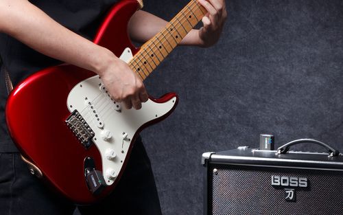 זוית נוספת BOSS WL-20 WIRELESS SYSTEM