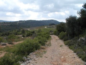 שביל ישראל מקטע מס