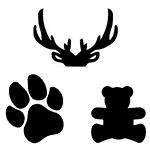 אפליקציות מותאמות אישית