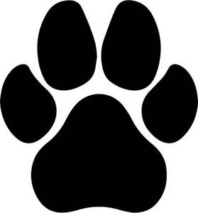 כף רגל של כלב