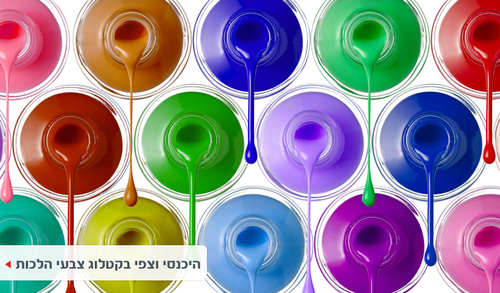בקבוקון לק - שיק