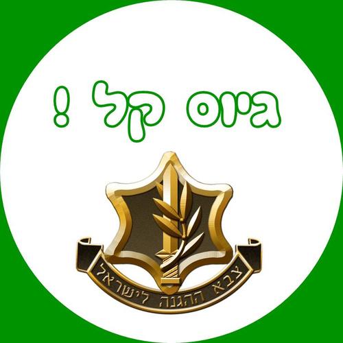 מדבקות עגולות גדולות למיתוג אישי מסיבת גיוס 12 יח' 
