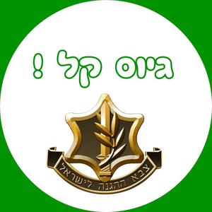 מדבקות עגולות גדולות למיתוג אישי מסיבת גיוס 12 יח