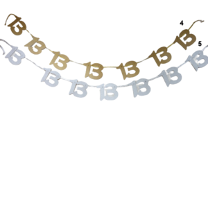 שרשרת לתליה 13 זהב \ כסף
