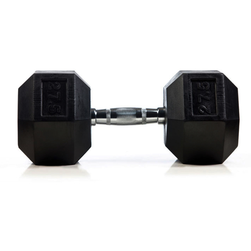 משקולת dumbbell 27.5kg