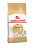 רויאל קנין לחתול ספינקס 2 ק''ג Royal Canin