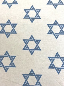 בדי יודאיקה 