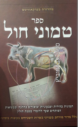 טמוני חול