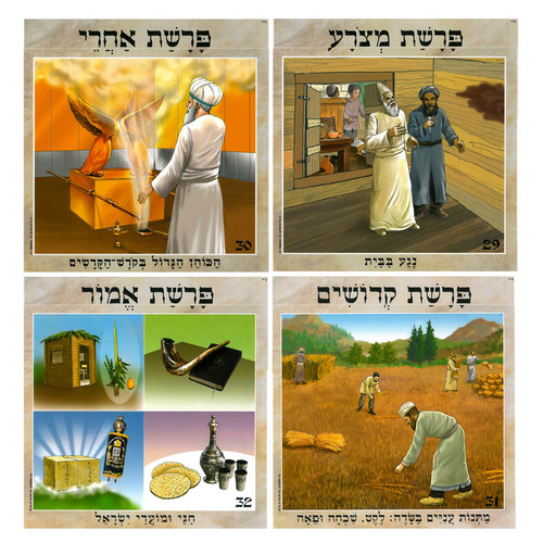 ערכת תמונות פרשיות חומש ויקרא