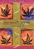 ארבע ההסכמות -דון מיגל רואיס