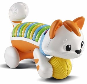 חתול לימוד מספרים 