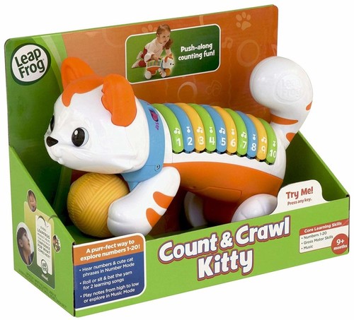 חתול לימוד מספרים 