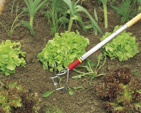 מקלטר מעשב 10 ס