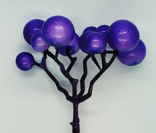 ענף פירות עגולים קטנים על קיסם 20 יחידות