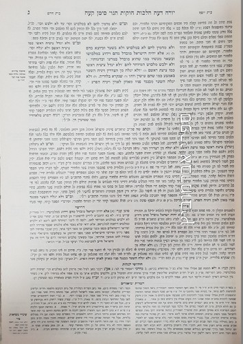 ארבעה טורים ושולחן ערוך המאור